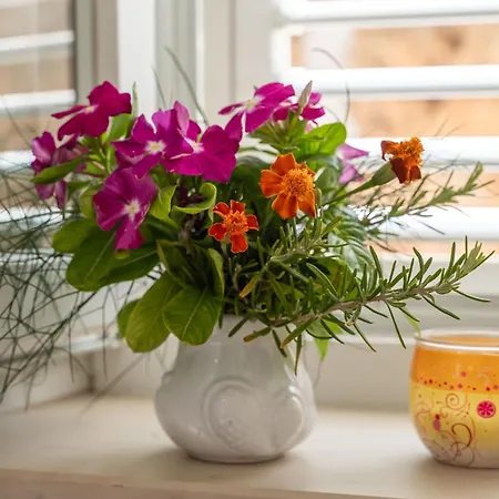 Daire Milanello Dubrovnik